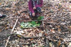 IMG_20201002_110737
