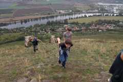 IMG-20201009-WA0019