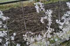IMG-20201125-WA0001