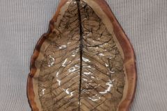 20201202_104911