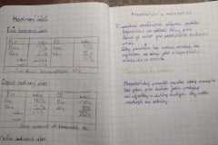 IMG-20210316-WA0010