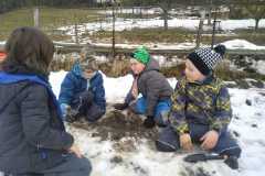 IMG-20210205-WA0008