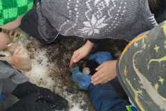 IMG-20210205-WA0009