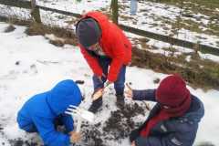 IMG-20210205-WA0011