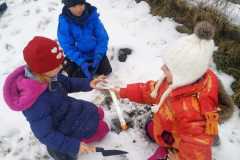 IMG-20210205-WA0012