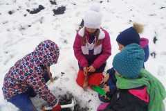 IMG-20210205-WA0016