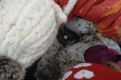 IMG-20210205-WA0020