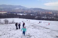 IMG-20210219-WA0025