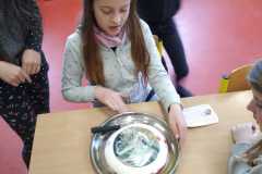 IMG-20210506-WA0027