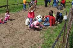IMG-20210506-WA0071