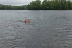 IMG_20210528_105018