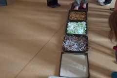 IMG-20210618-WA0003