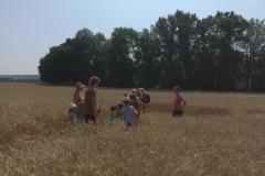 IMG-20210725-WA0007