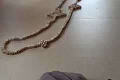 IMG-20210509-WA0011