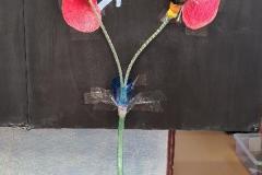 2021-09-09 Epocha biologie