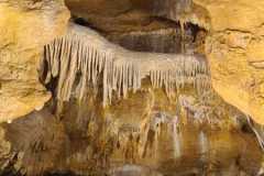 IMG-20211025-WA0025