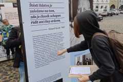 IMG-20211112-WA0014