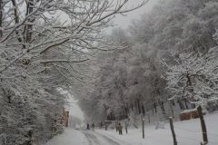 DSCN0884