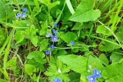 IMG_20220506_131817
