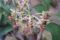 IMG-20221129-WA0012