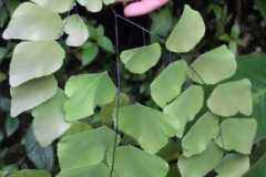 IMG-20221129-WA0013