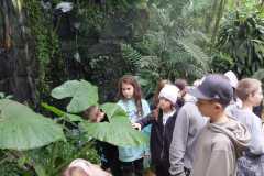IMG-20221129-WA0018