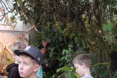 IMG-20221129-WA0019