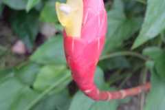 IMG-20221129-WA0022