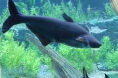 IMG-20221129-WA0023