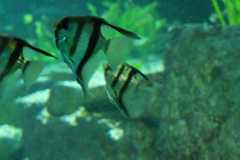 IMG-20221129-WA0024