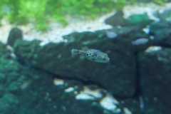 IMG-20221129-WA0025