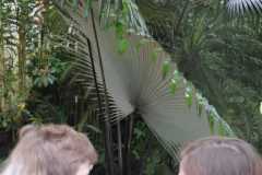IMG-20221129-WA0027