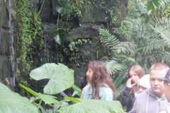IMG-20221129-WA0028