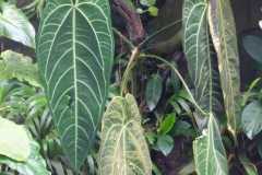 IMG-20221129-WA0030