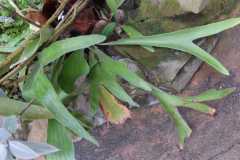 IMG-20221129-WA0033