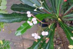 IMG-20221129-WA0034