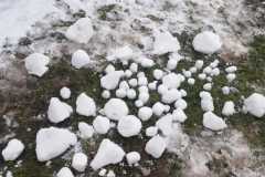 IMG-20230124-WA0019