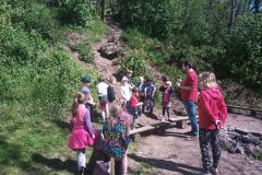 IMG_20230510_104335_368
