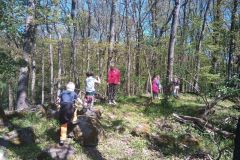 IMG_20230510_104850_183