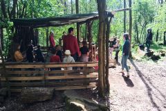 IMG_20230510_112352_624
