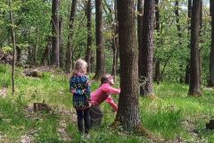 IMG_20230510_141703_674