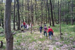 IMG_20230510_142903_691