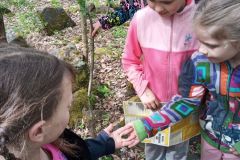 IMG_20230510_150158_052