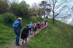 IMG_20230511_111430_588
