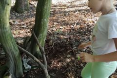 IMG_20230908_114035