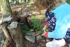 IMG_20230908_114055