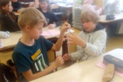 IMG_20231004_091609