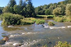 IMG_20230907_130533