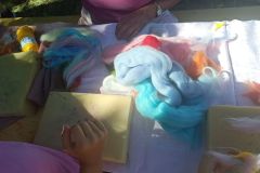 IMG_20230909_114341