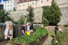 IMG_20230920_134556